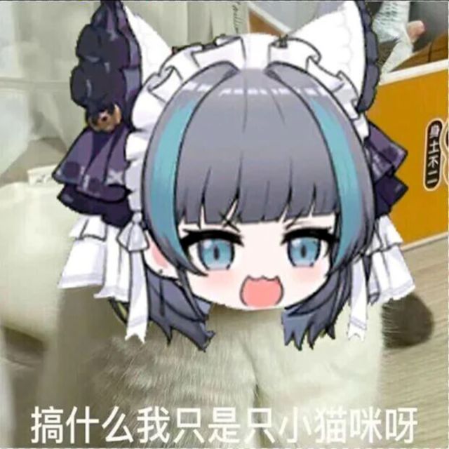 博主头像